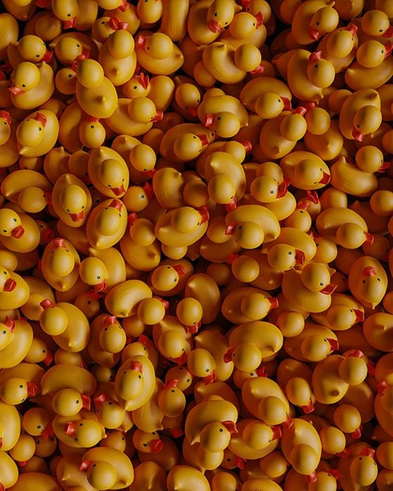 Lanka Rubber Toys