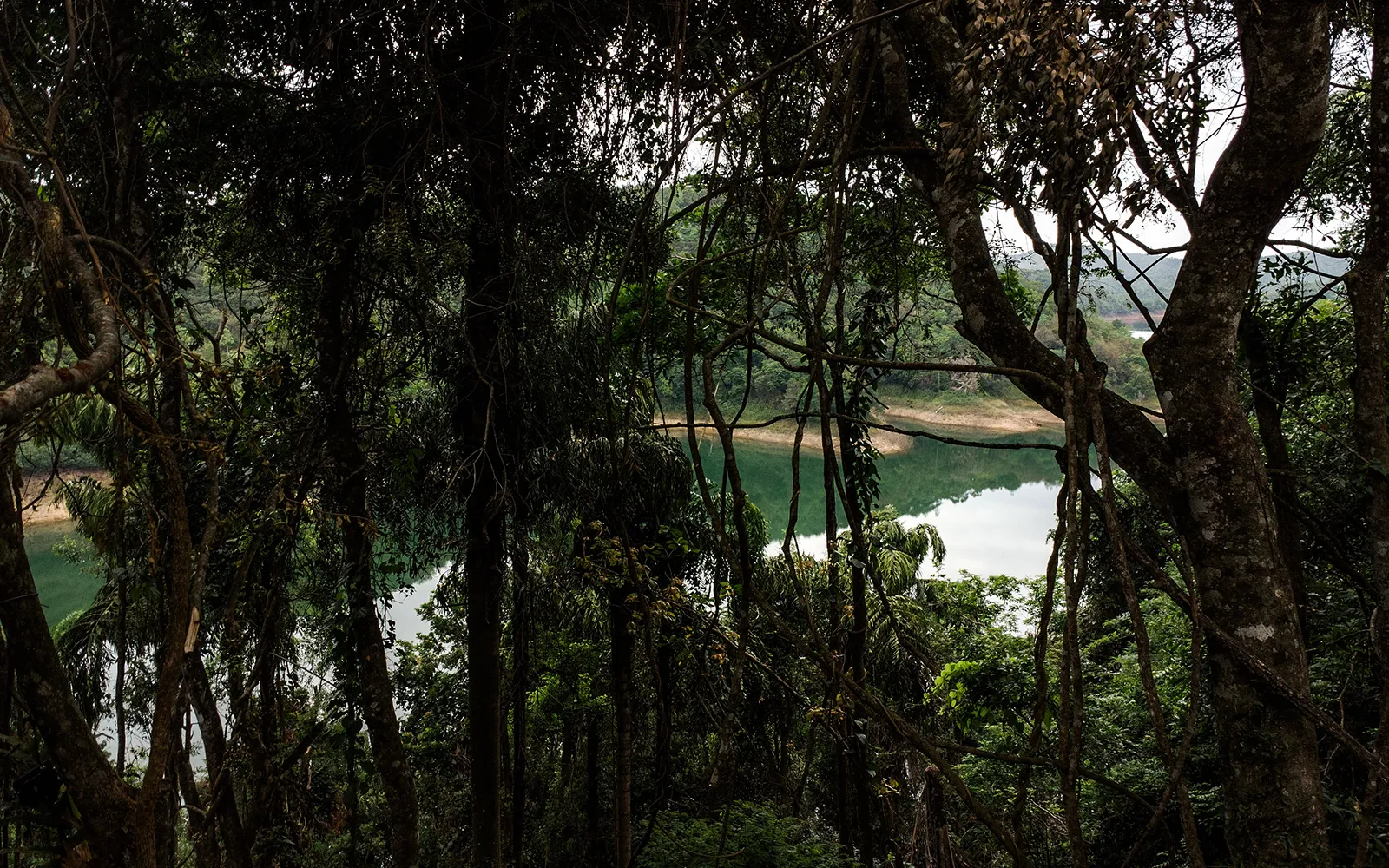 Pannil Villa Image 7