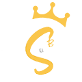 WBS logo